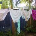 Knicker shots