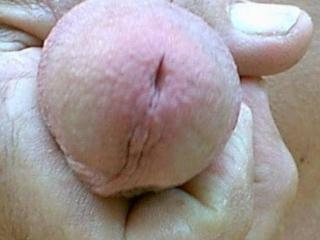 my cock 3 of 5