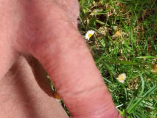 Hard and ready to cum 1 of 4