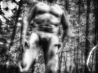 Undressing in the forest 15 of 16
