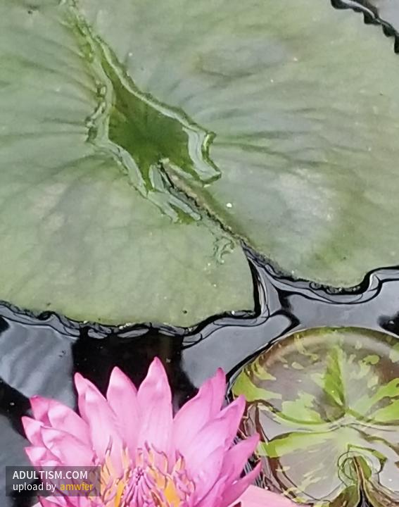 Image 7 of 8