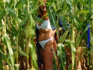 In the corn field 4 of 20