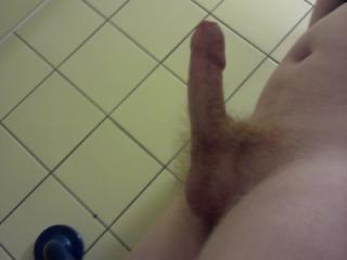 My Big Hairy Ayrshire Cock In Supermarket Toilets 6 of 6