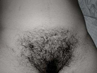 my hairy wife 13 of 17