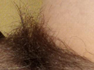 final Collection of Hairy Pussy Pics 18 of 19