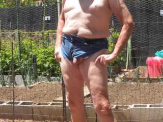 shorties and cooling down in backyard 3 of 7
