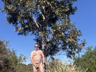 Walk in the park 2 of 4