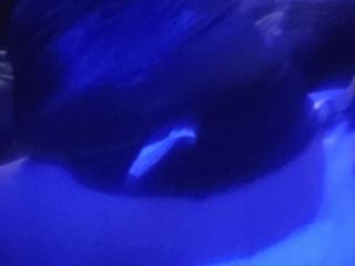 More who's up for it 3 of 4