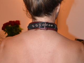 Slut Babs - Halsband! Collar! 4 of 18