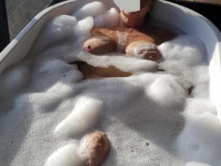 Bubble bath 3 of 4