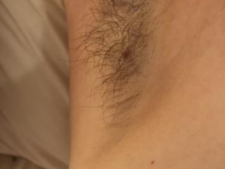 Sexy hairy pussy pits and belly button 3 of 8