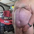 Quiet time in the shed