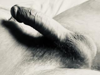 A Horny Bear 2 1 of 7