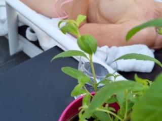 sunbathing in the garden 6 of 7