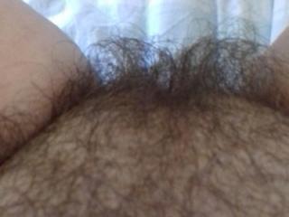 MATURE HAIRY NICE 4 of 16