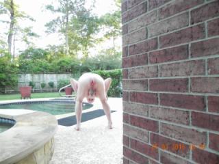Nude On The Patio 16 of 19