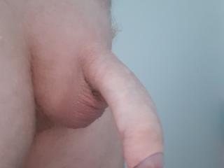 shaven, 6 of 6
