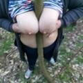 Random pictures