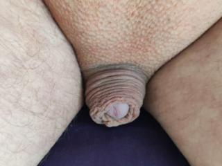 My tiny cock 7 of 13