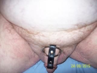 I (Tom) Love (3) My Uncircumcised Penis 11 July 2025 12 of 19