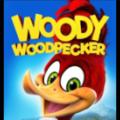 cmywoody2