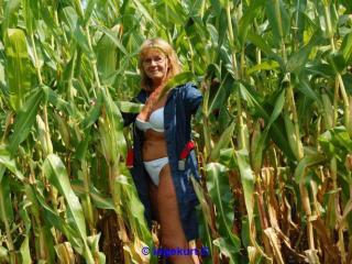 In the corn field 3 of 20