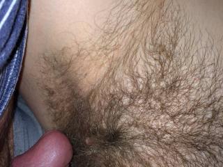 Creampie in a hairy pussy 1 of 14