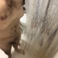 Just A Shower