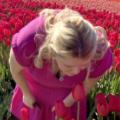 The Queen in the Tulip Fields…and h...