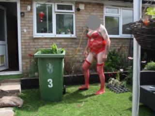 Weekend  dressed up gardening 2 of 6
