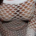 A post for the fishnet lovers....