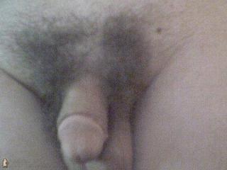 my Cock