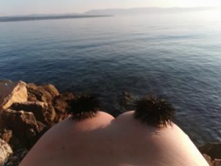 Rocks & sea urchin 10 of 13