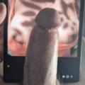 Bojay987