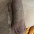 Veryhornyguy69