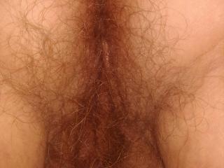 My wife's hairy pussy for you to enjoy 12 of 15