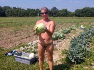 Picking Cabbage 7 of 18