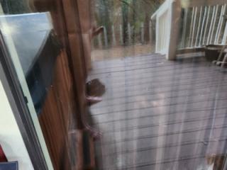 Back Porch 3 of 5