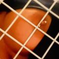 Caged, like i deserve
