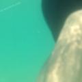 Pussy flash while swimming