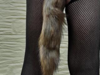 A Tail 1 of 9