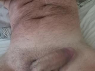 Morning cock 6 of 15