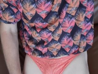Panies
