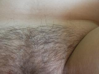 Hairy wife 4 of 6