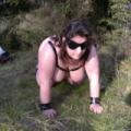 In the wood 2