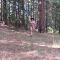 Naked walk in the pine forest.