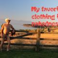 Nudist