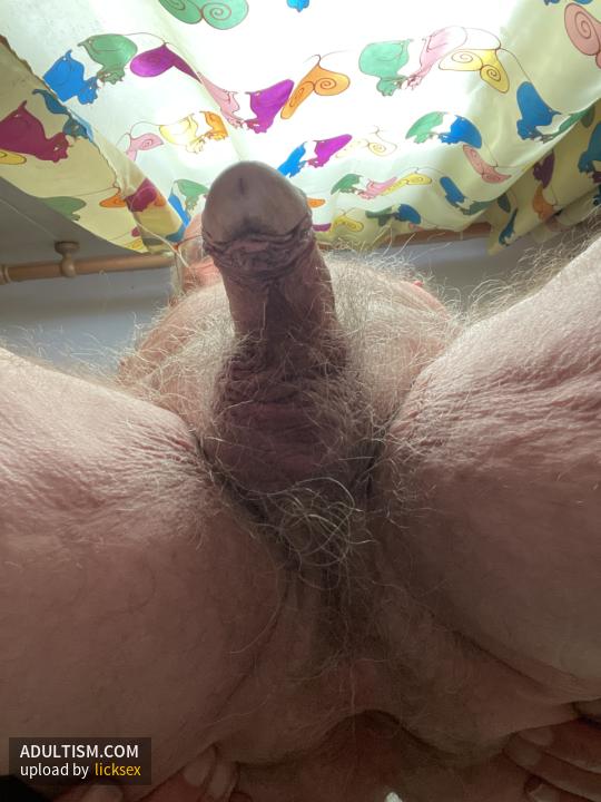 Image 3 of 14