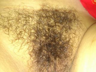 ASIA HAIRY 1 of 7