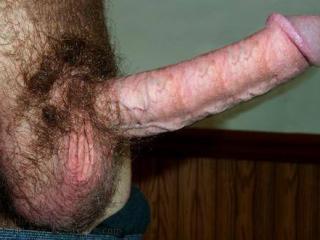 Curley Pubes 1 of 1
